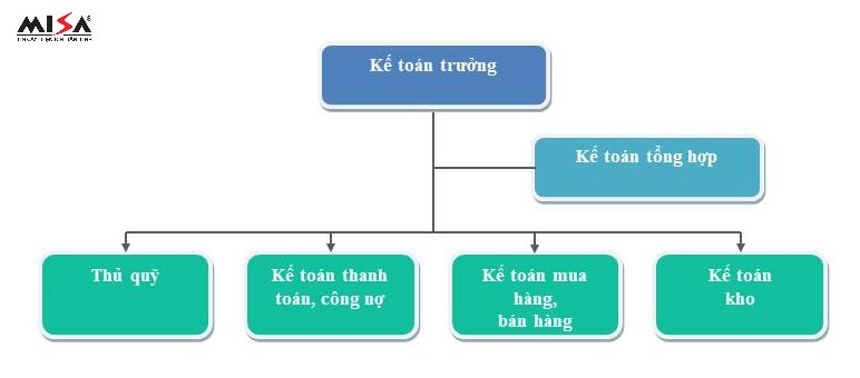 Hình 2: Sơ đồ Tổ chức bộ máy kế toán nhà phân phối