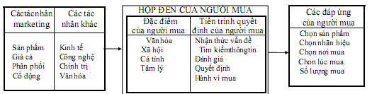 Mô hình hộp đen theo ý thức của người tiêu dùng