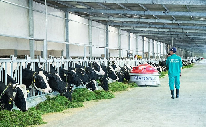 chất lượng sản phẩm Vinamilk