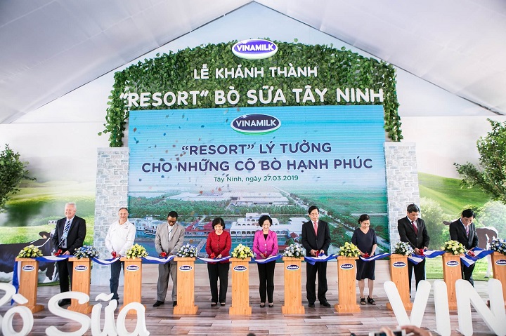 vinamilk đầu tư xây dựng trang trại bò sữa