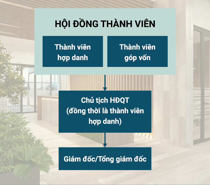 cơ cấu của công ty hợp danh