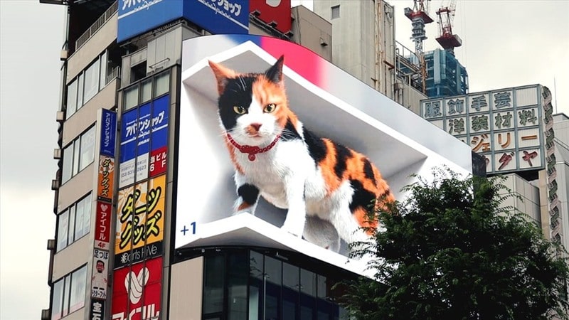 dooh dooh