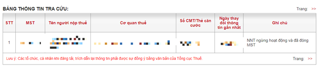 Kết quả tra cứu thông tin người nộp thuế từ trang web trả về