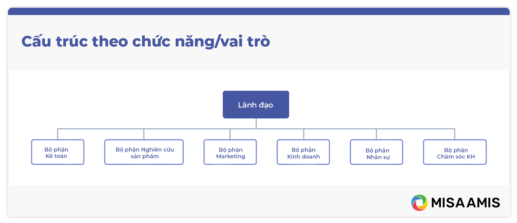 Cấu trúc doanh nghiệp theo chức năng, vai trò