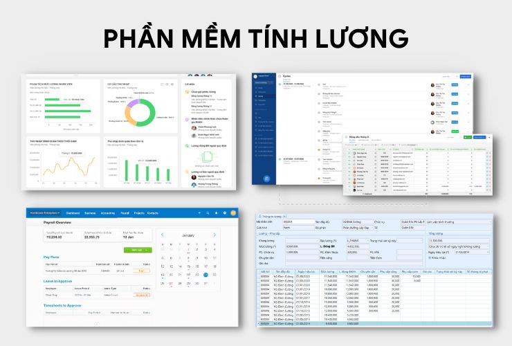 Phần mềm Tiền lương AMIS chuyên sâu, dễ dàng sử dụng với giao diện thân thiện người dùng