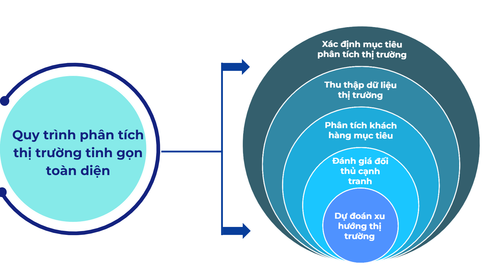 Quy trình phân tích thị trường tinh gọn