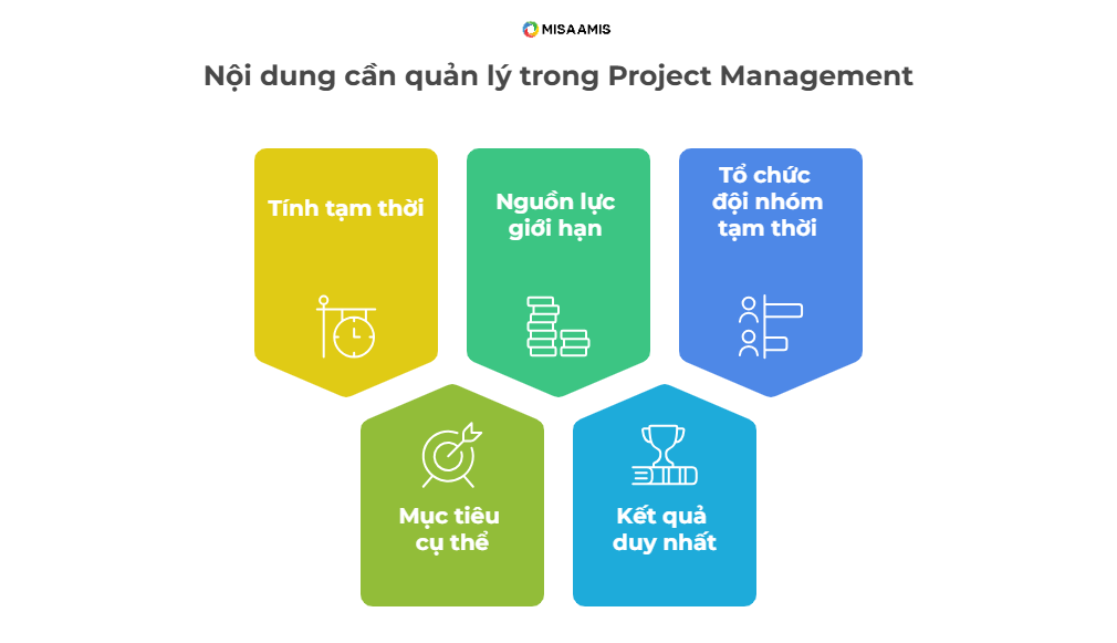 nội dung trong Project Management