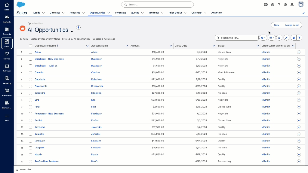 Web CRM - Salesforce CRM