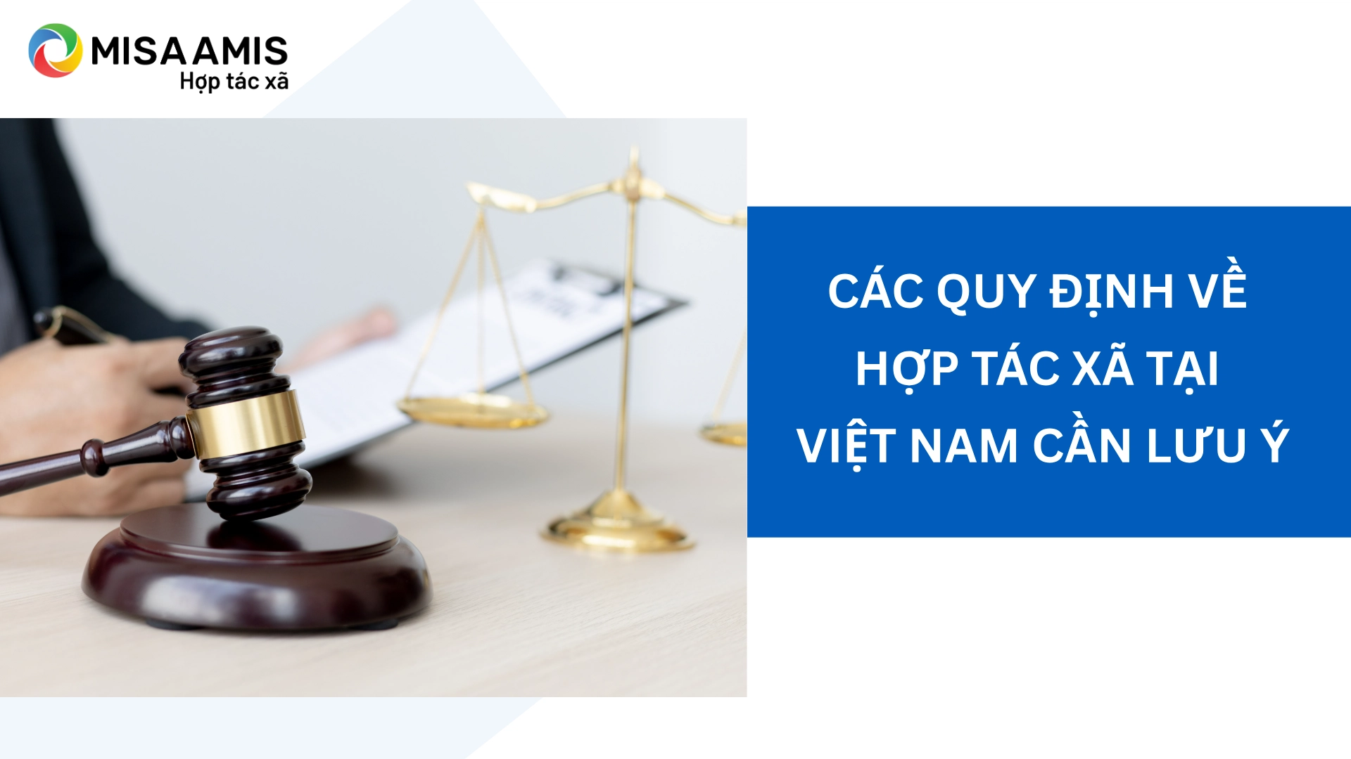 Các quy định về hợp tác xã tại Việt Nam cần lưu ý