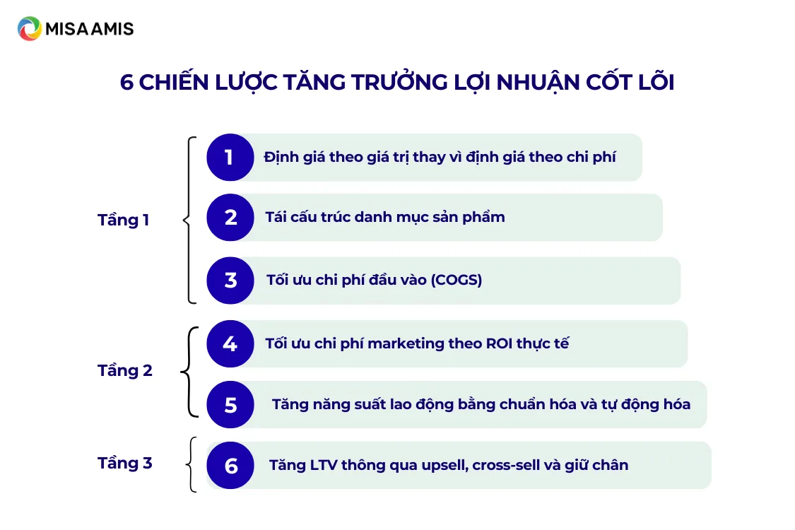 6 chiến lược tăng trưởng lợi nhuận cốt lõi dựa trên 3 tầng