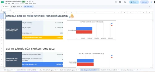 Mẫu báo cáo chi phí chuyển đổi của khách hàng