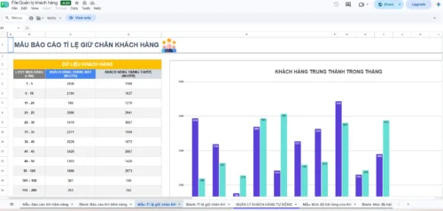 Mẫu báo cáo tỉ lệ giữ chân khách hàng