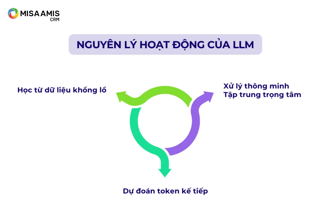 Nguyên lý hoạt động của LLM là gì